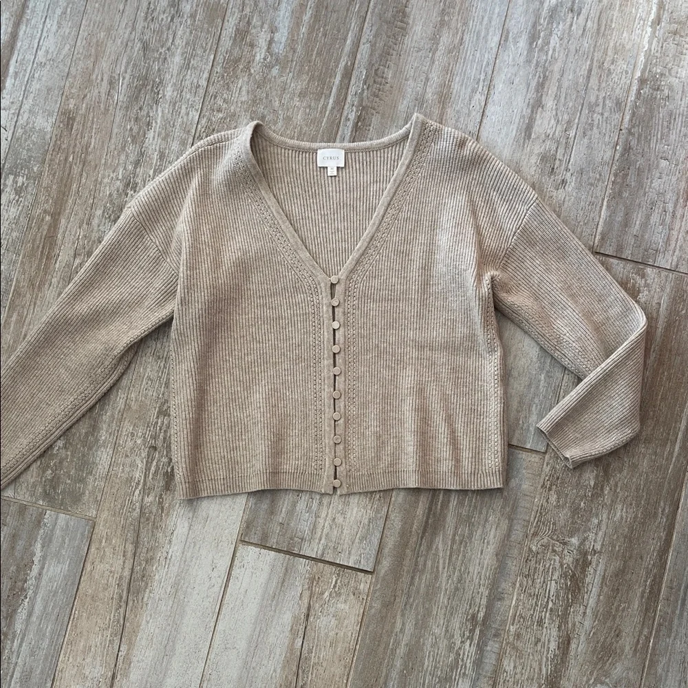Cyrus Taupe V-Neck Button Sweater - Picture 1 of 8